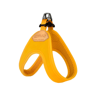 Charlie's Backyard Buckle Up Easy Harness Yellow | Henlo Pets