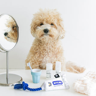 Bite Me Toothpaste Rope & Plush Toy | Henlo Pets