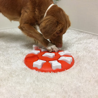 Nina Ottosson Dog Smart Orange Puzzle | Henlo Pets
