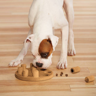 Nina Ottosson Dog Smart Composite Puzzle | Henlo Pets