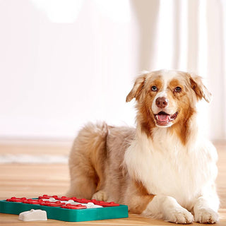 Nina Ottosson Dog Brick Puzzle | Henlo Pets