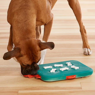 Nina Ottosson Dog Casino | Henlo Pets