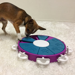 Nina Ottosson Dog Twister Puzzle | Henlo Pets