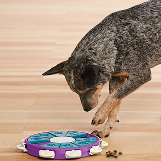 Nina Ottosson Dog Twister Puzzle | Henlo Pets