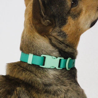 Approved by Fritz Liberty Green Collar | Henlo Pets