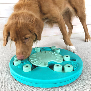Nina Ottosson Dog Worker Puzzle | Henlo Pets