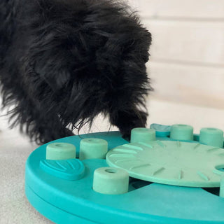 Nina Ottosson Dog Worker Puzzle | Henlo Pets