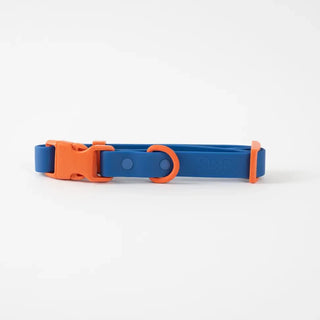 Approved by Fritz Blue Orange Collar | Henlo Pets