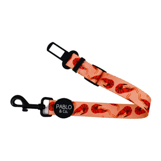 Pablo & Co Summer Prawns Car Restraint | Henlo Pets