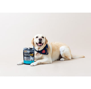 PetSafe Chilly Penguin Treat Dispenser Toy | Henlo Pets