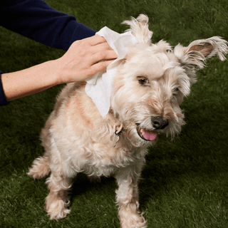 Natural Dog Company 50 X-Large Refresh Grooming Wipes | Henlo Pets