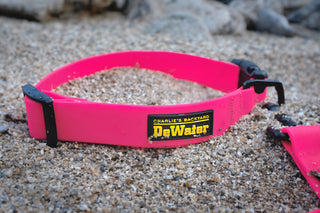 Charlie's Backyard DeWater Waterproof Collar Pink | Henlo Pets