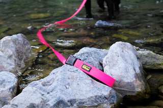 Charlie's Backyard - DeWater Waterproof Leash Pink | Henlo Pets