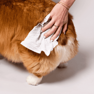 Natural Dog Company 50 X-Large Refresh Grooming Wipes | Henlo Pets