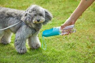Petkit Travel Water Bottle Blue 400ml | Henlo Pets