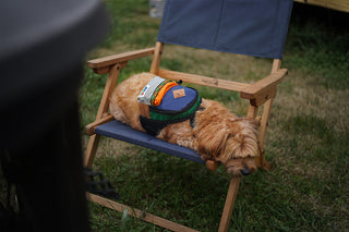 Charlie's Backyard Outdoor Backpack Navy | Henlo Pets