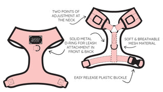 Sassy Woof Adjustable Harness - Pinot | Henlo Pets