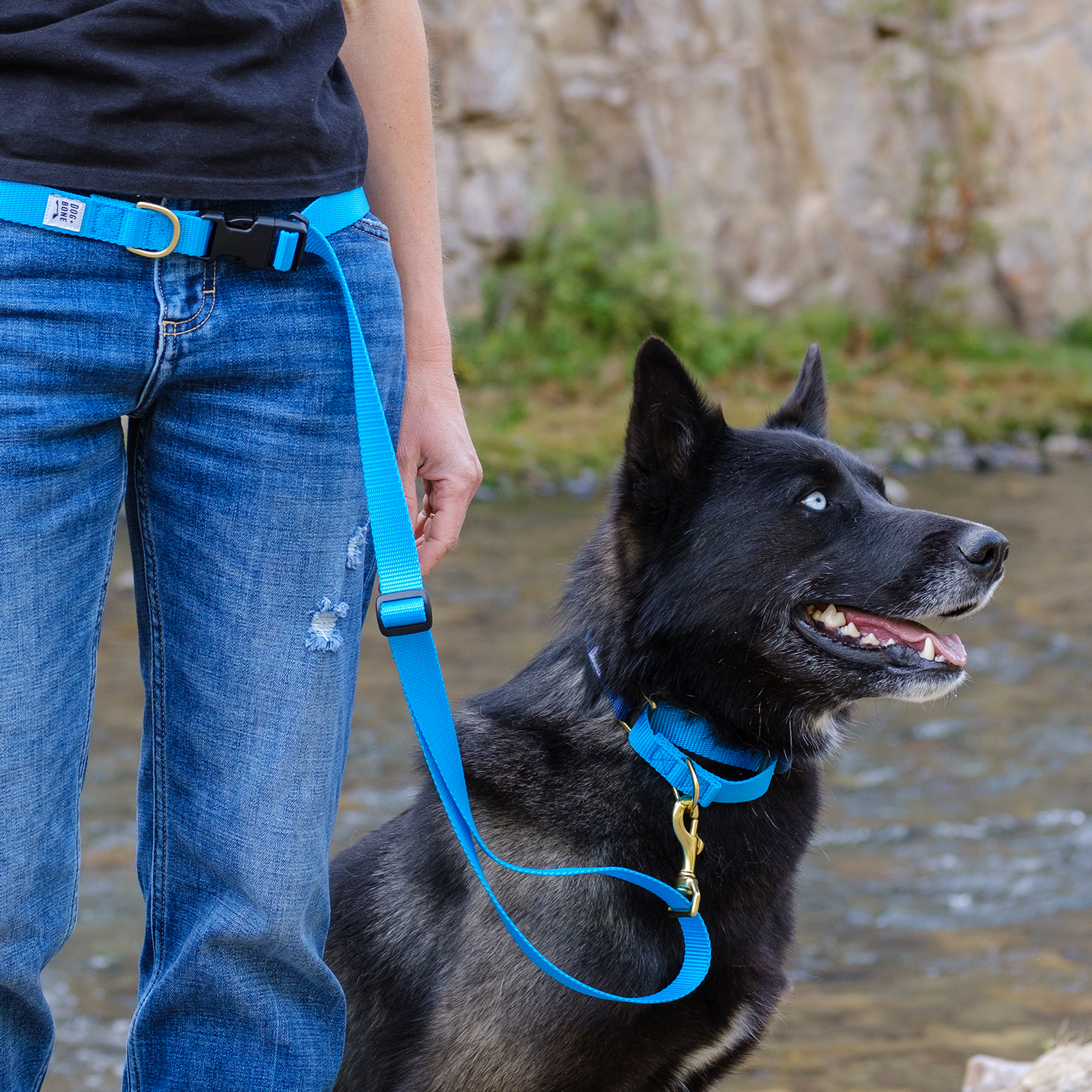 Dog + Bone - Martingale Collar Navy &amp; Blue - Henlo Pets