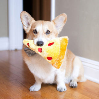 NomNomz Pizza Slice | Henlo Pets