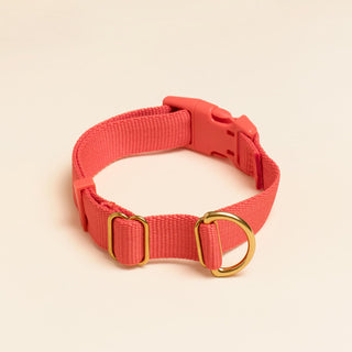 AWOO Pack Collar - Spice | Henlo Pets