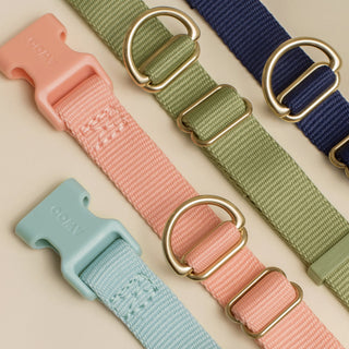 AWOO Pack Collar - Spice | Henlo Pets
