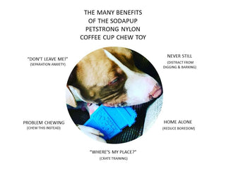 SodaPup Nylon Coffee Cup Extreme Chewers | Henlo Pets