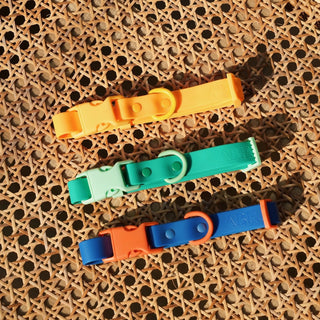 Approved by Fritz Orange Mango Collar | Henlo Pets