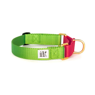 Dog + Bone Martingale Collar Greenery & Punch | Henlo Pets