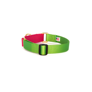 Dog + Bone Martingale Collar Greenery & Punch | Henlo Pets
