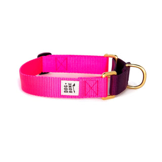 Dog + Bone Martingale Collar Hot Pink & Purple | Henlo Pets