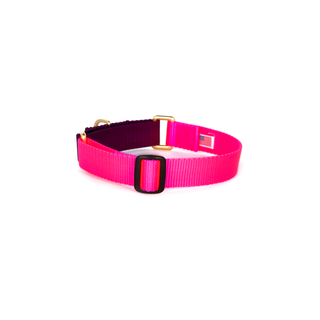 Dog + Bone Martingale Collar Hot Pink & Purple | Henlo Pets