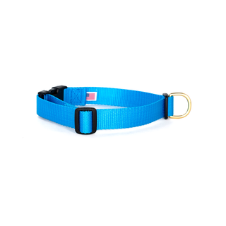 Dog + Bone Snap Collar - Blue | Henlo Pets