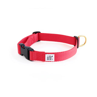 Dog + Bone Snap Collar - Punch | Henlo Pets