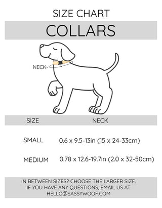 Sassy Woof Collar - Denim | Henlo Pets