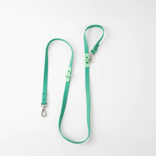Approved by Fritz Liberty Green Leash | Henlo Pets