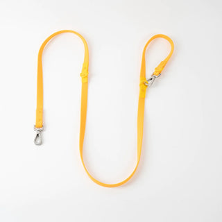Approved by Fritz Orange Mango Leash | Henlo Pets