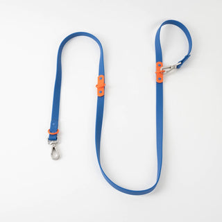 Approved by Fritz Blue Orange Leash | Henlo Pets