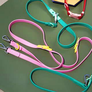 Approved by Fritz Pink Lemonade Leash | Henlo Pets