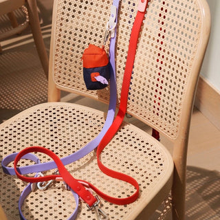 Approved by Fritz Lilac Grey Leash | Henlo Pets