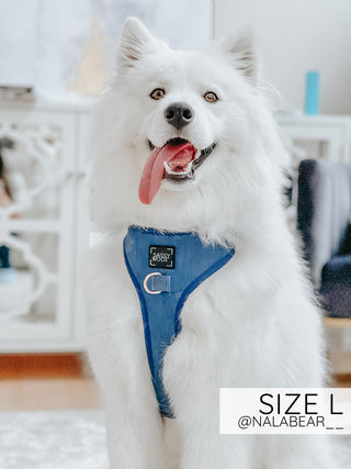 Sassy Woof Adjustable Harness - Denim | Henlo Pets