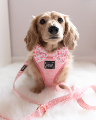 Sassy Woof Leash - Dolce Rose | Henlo Pets
