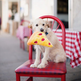NomNomz Pizza Slice | Henlo Pets