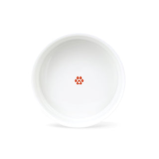 Fringe Studio Caturday Straight Bowl Ceramic Pet Bowl | Henlo Pets