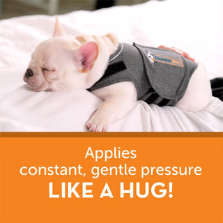 ThunderShirt Dog Anti Anxiety Vest | Henlo Pets
