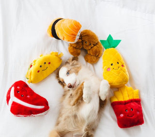 NomNomz Sushi | Henlo Pets