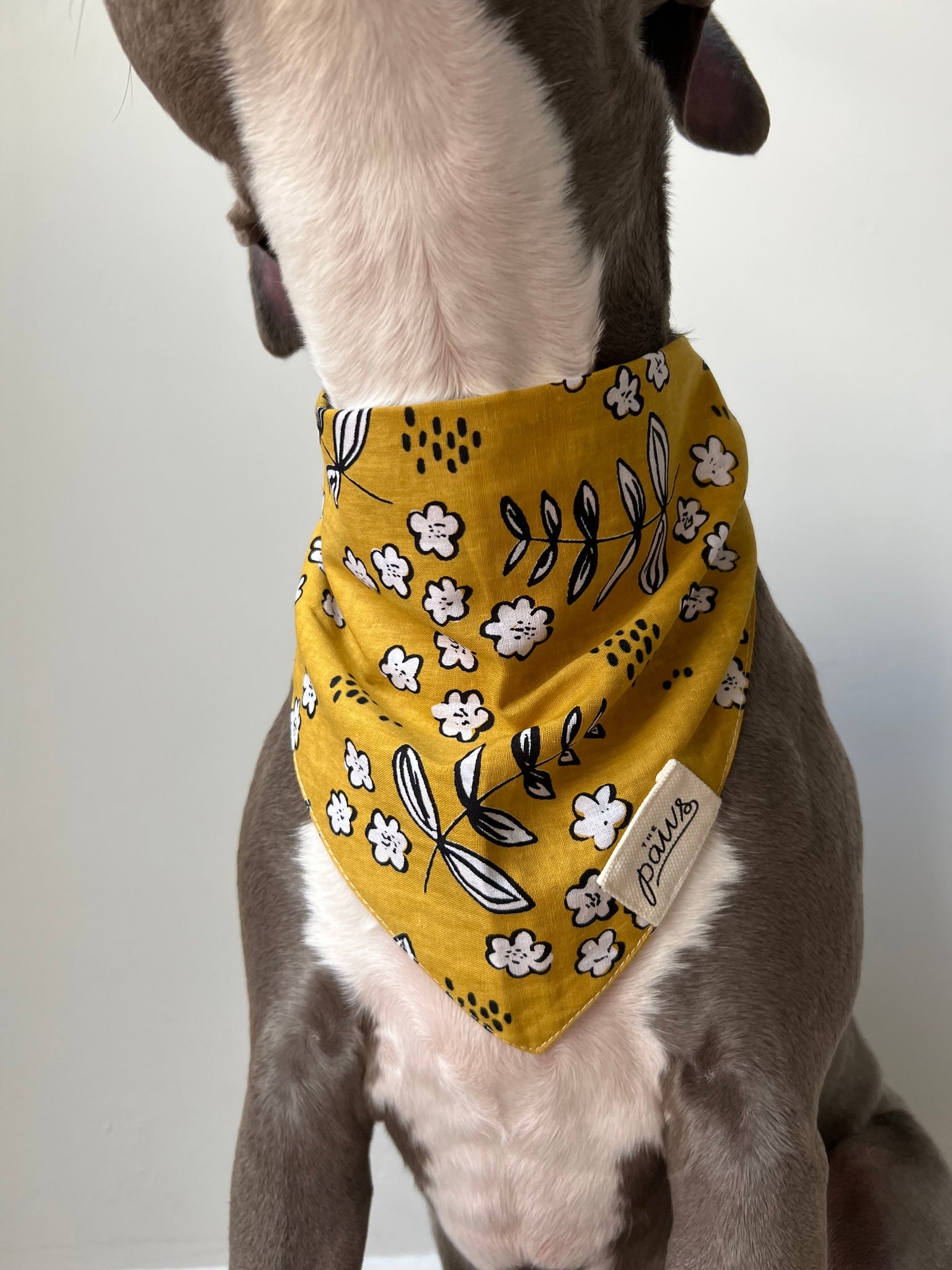 The Paws - Goldie Bandana - Henlo Pets