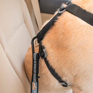 Kurgo Car Seatbelt Tether for Dogs | Henlo Pets