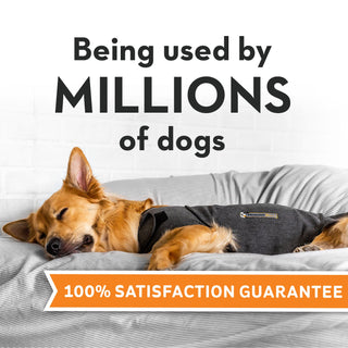 ThunderShirt Dog Anti Anxiety Vest | Henlo Pets