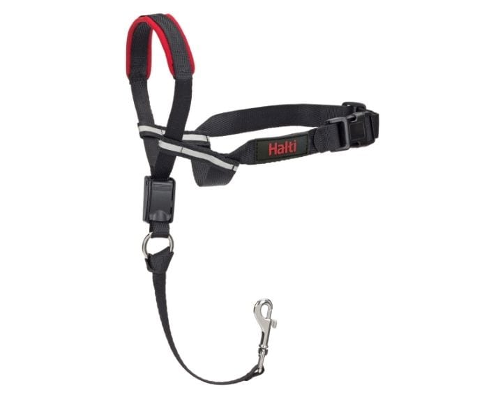 Procollar petsmart sale