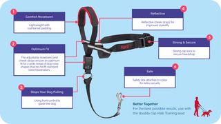 Company of Animals Halti Optifit Headcollar | Henlo Pets